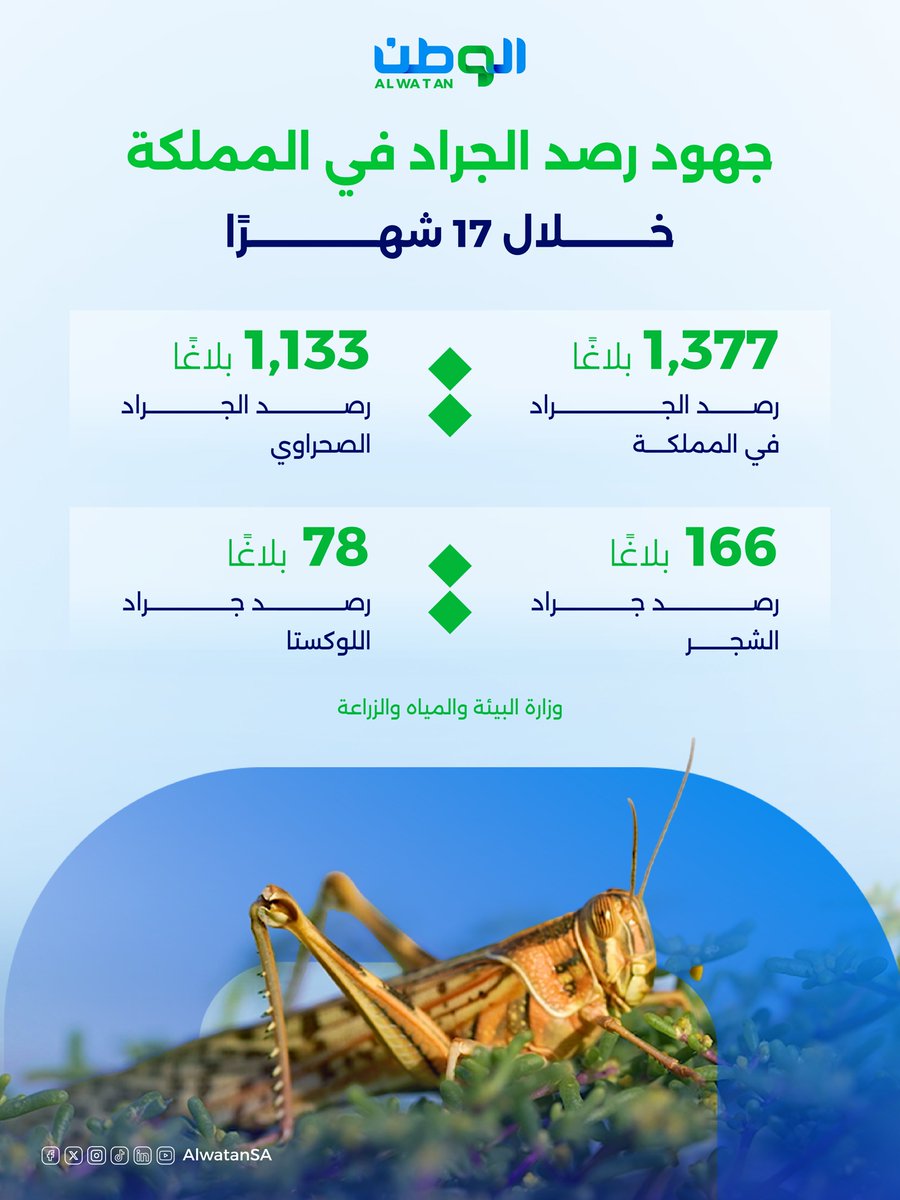 AlwatanSA's tweet photo. حماية المحاصيل الزراعية والغطاء النباتي من انتشار الجراد في مناطق السعودية https://t.co/PDyAseLQyI