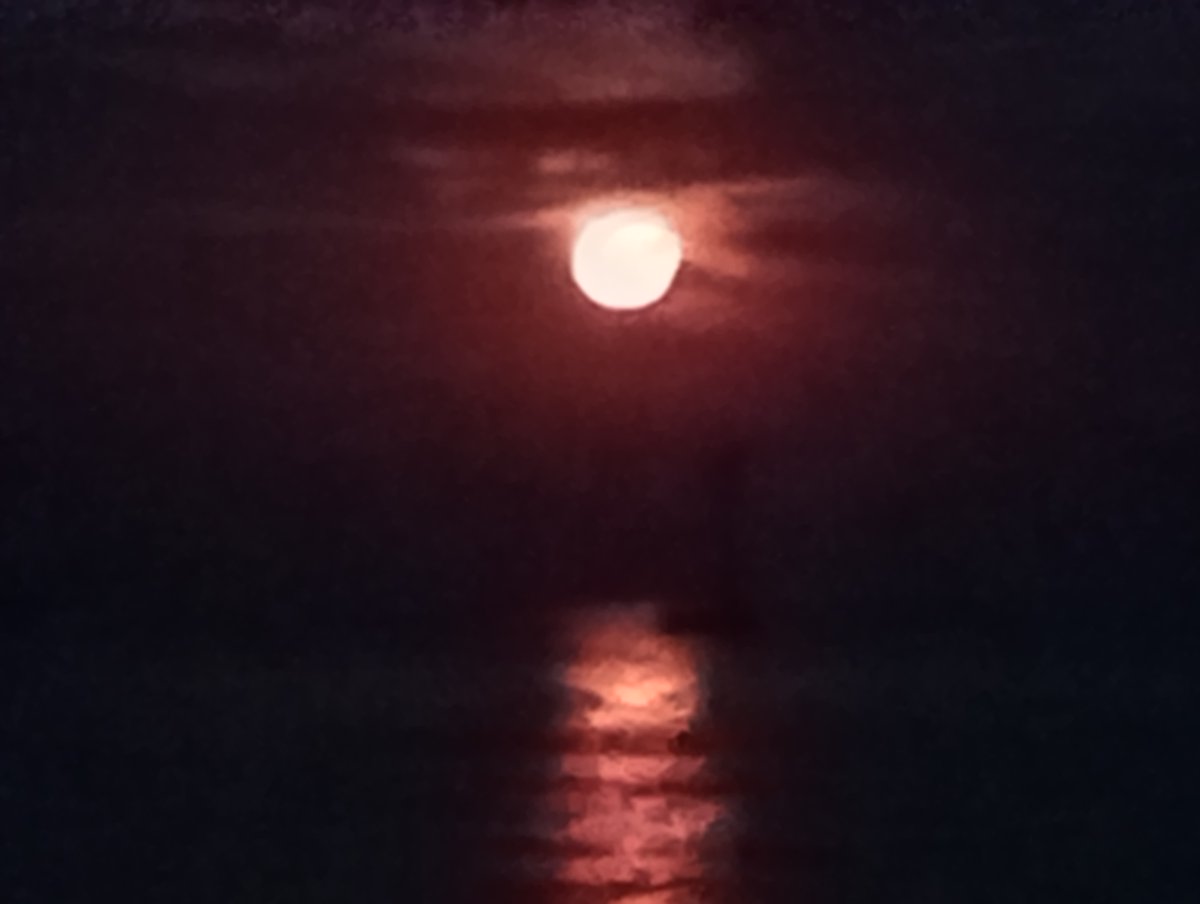Mauri_SMM_SEO's tweet photo. Eccola in tutto il suo splendore! Luna 🌙 piena ! #Luna #moon #mare #Sea, foto mie, tutti i diritti sono riservati, all right reserved! 😉👋 https://t.co/P4tkqE6KqE