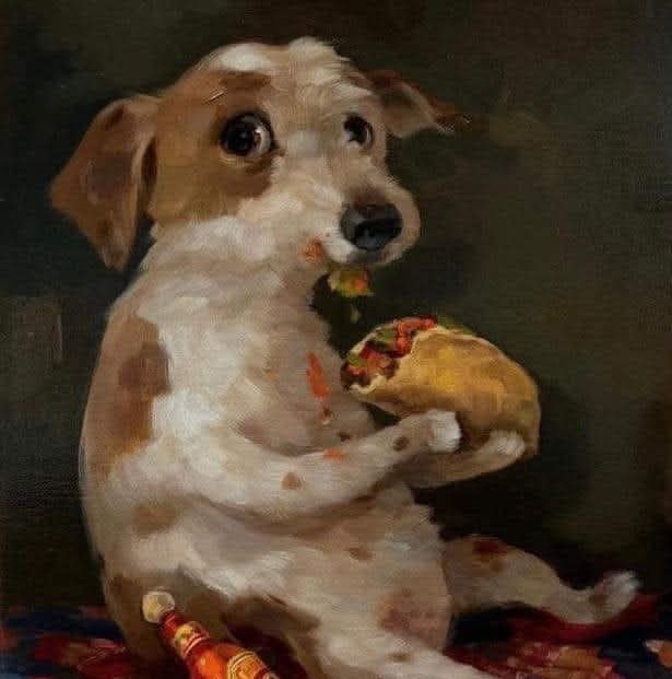 Thepervert16's tweet photo. @ashley_justAsh Espero se recupere pronto le mando ánimos patrona y vea este perrito comiendo un taquito https://t.co/upPWwBC1TR