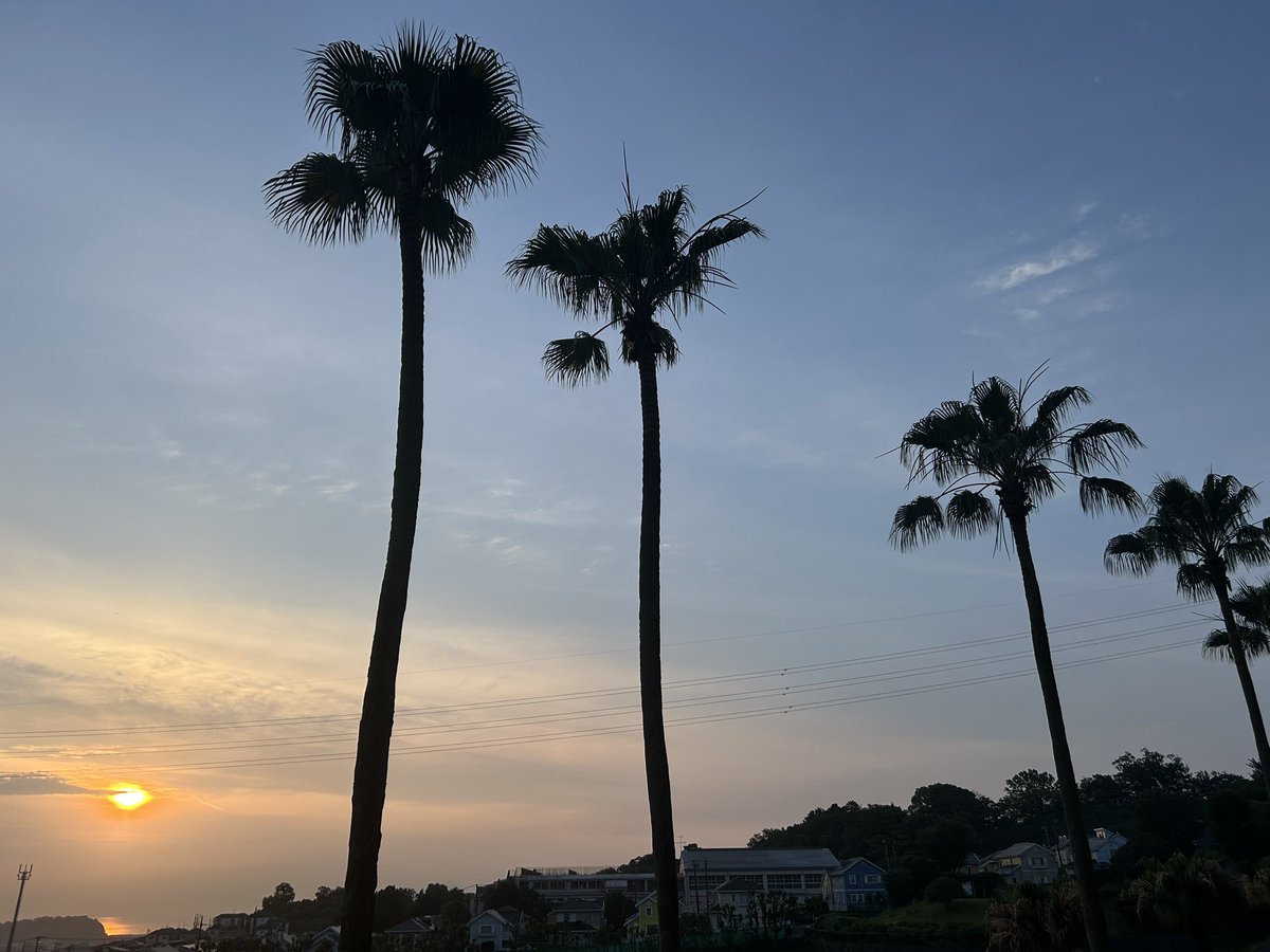 mits_i's tweet photo. I was able to see the sunrise clearly. 😀 https://t.co/Kz2SzULgzq