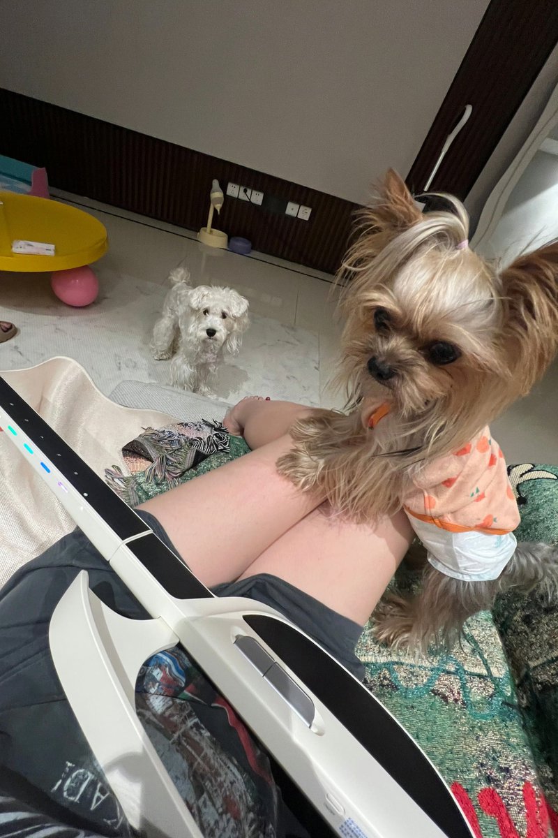 MANAMESKID's tweet photo. 好幸福 https://t.co/VshNo5uhma