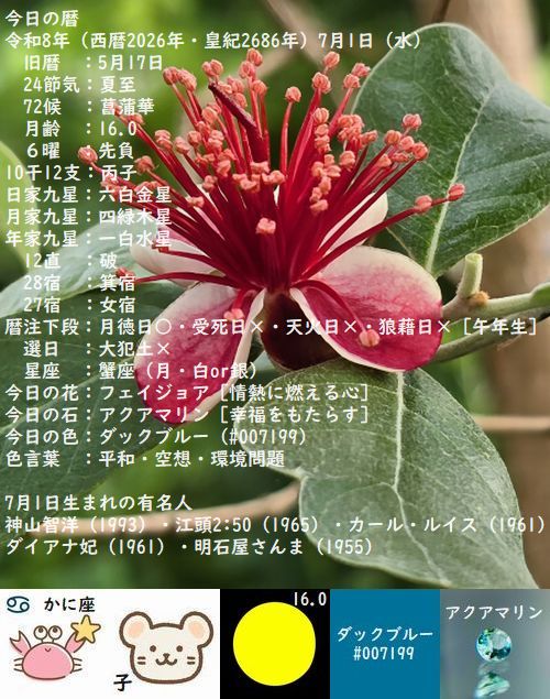 YAMASHINA_SHIGA's tweet photo. 今日の暦
令和8年7月1日（水）先負
今日の花：フェイジョア［情熱に燃える心］
今日の石：アクアマリン［幸福をもたらす］
今日の色：ダックブルー［平和・空想・環境問題］

各項目の説明は下のリンクより
https://t.co/jbAjppSTj2

#今日の暦 #星座 #花 #石 #色 #十二支 #九星 #月齢 https://t.co/6nQ1xFKtfk