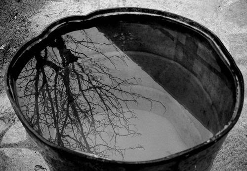 literlandweb1's tweet photo. "La sabiduría se encuentra en la introspección y la comprensión de uno mismo".
Czeslaw Milosz https://t.co/2pVx6ZdCCC