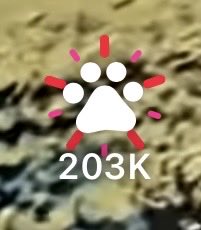 ScarleYonaguni's tweet photo. What I love doing is doomscrolling on YouTube shorts watching cute animal videos, specifically dog videos and I noticed this cute little thing that if you like the video, it will do alittle puppy print animation. Just those little things make me happy for the day! :3 https://t.co/rotHMq4suL