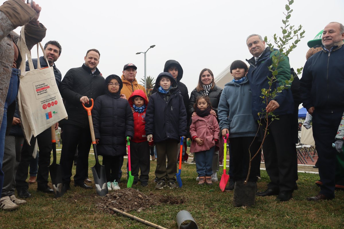 conaf_maule's tweet photo. 📍#Maule
Con la plantación simbólica de los primeros quillayes en la plaza Los Quillayes de #VillaLaForesta, CONAF Maule y la I. Municipalidad de #Maule dieron inicio al programa "Mi Pueblo, Mi Árbol", iniciativa busca fortalecer la arborización urbana con especies nativas. 🌳 https://t.co/2EHTS9Q5BB