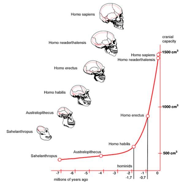 gisbert_ruben's tweet photo. Damas y caballeros, está demostrado científicamente que el ser humano ha llegado a un mayor desarrollo neurológico en su biología y aumentado su capacidad cerebral por el CONSUMO DE PROTEÍNA ANIMAL. La proteína es la clave de la evolución humana y fundamentalmente de su desarrollo intelectual hasta el homo sapiens.

Pareciera que el empecinamiento de la élite política y económica por acabar con el consumo de carne, pescado y huevos guarde relación con algo de esto.