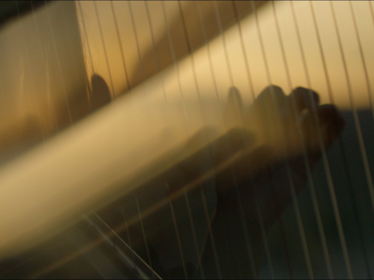 LaraHarp's tweet photo. textures of what’s to come on TOMORROW in a world of ‘open fields’ 〰️〰️〰️〰️〰️🌬️🌬️🌬️🌬️ @mercurykx
🎞️Alex Cook https://t.co/264kShSydQ