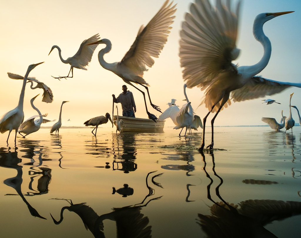 aseelswaid9's tweet photo. Tres Palos Lagoon, Guerrero, Mexico https://t.co/wUqueEPPJm