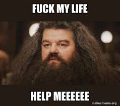 FMLCTOkh's tweet photo. I forgot to take Harry to the school. Dumbledore will turn me into a fat rat... FML https://t.co/7kaK36EtTm