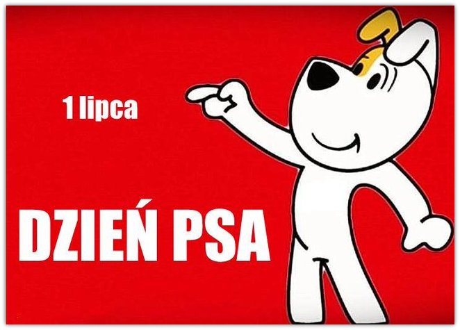 lata8290's tweet photo. Z cyklu święta nietypowe 🗓️.. Czy wiecie, że dzisiaj przypada Międzynarodowy Dzień Psa? 😊 Wszystkim psiakom życzę Wszystkiego Najlepszego! 🐶🐕🐩 #DzieńPsa https://t.co/7pfs8MxMkl