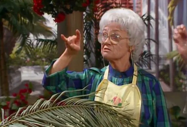 EsseGi567's tweet photo. Sophia Petrillo ti ridona il sorriso in due battute, la adoro! Guardate questa serie! #goldengirls https://t.co/LZBX9lPZIE