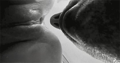 HornyLizard69's tweet photo. Mood… 🍑👅💦💦💦 https://t.co/NHDPKGfOpQ