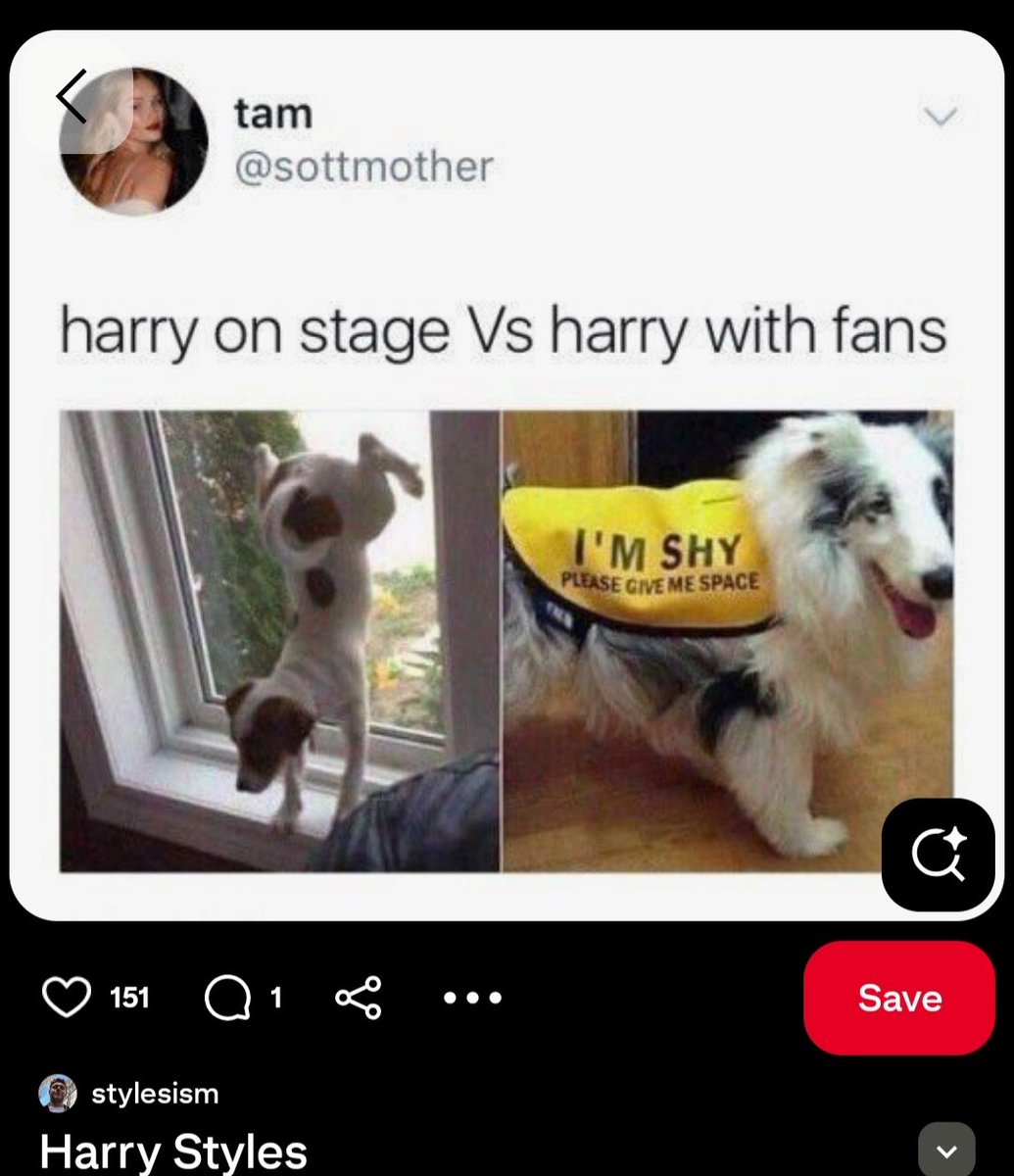 sansz_lou's tweet photo. BRUH😭😭😭😭 https://t.co/pWKDtHUCH2