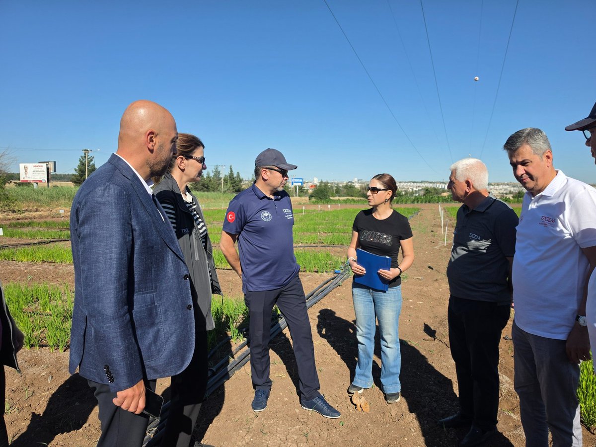 tagemgovtr's tweet photo. 🌾 GAPUTAEM'de Karacadağ Pirincinin Geleceğine Bilimsel Destek

Genel Müdürümüz Sayın Dr. M. Altuğ ATALAY ve beraberindeki heyet GAP Uluslararası Tarımsal Araştırma ve Eğitim Merkezi Müdürlüğümüz tarafından yürütülen "Damla Sulama ile Sulanan Karacadağ Çeltik Bitkisinde Farklı Düzeyde Su ve Azotlu Gübre Uygulamalarının Verim ve Verim Bileşenlerine Etkisi" projesinin deneme alanını ziyaret ederek yürütülen çalışmalar hakkında bilgi aldı.

2026-2028 yıllarını kapsayan proje ile; iklim değişikliği ve su kaynaklarındaki kısıtlar karşısında, bölgenin tescilli genetik değeri olan Karacadağ pirincinin sürdürülebilir üretiminin güvence altına alınması hedefleniyor.

Damla sulama ve fertigasyon teknikleriyle su ve gübre yönetiminin optimize edilmesini amaçlayan proje; su kaynaklarının etkin kullanımını, verim ve kalite artışını, çevresel sürdürülebilirliği ve bölge üreticileri için iklim değişikliğine uyumlu, dirençli bir üretim modelinin yaygınlaştırılmasını hedefliyor.

🌾 Karacadağ pirincinin genetik mirası korunurken sürdürülebilir tarım uygulamalarıyla geleceğin üretim modeli şekillendiriliyor.
@TCTarim @GAPUTAEM