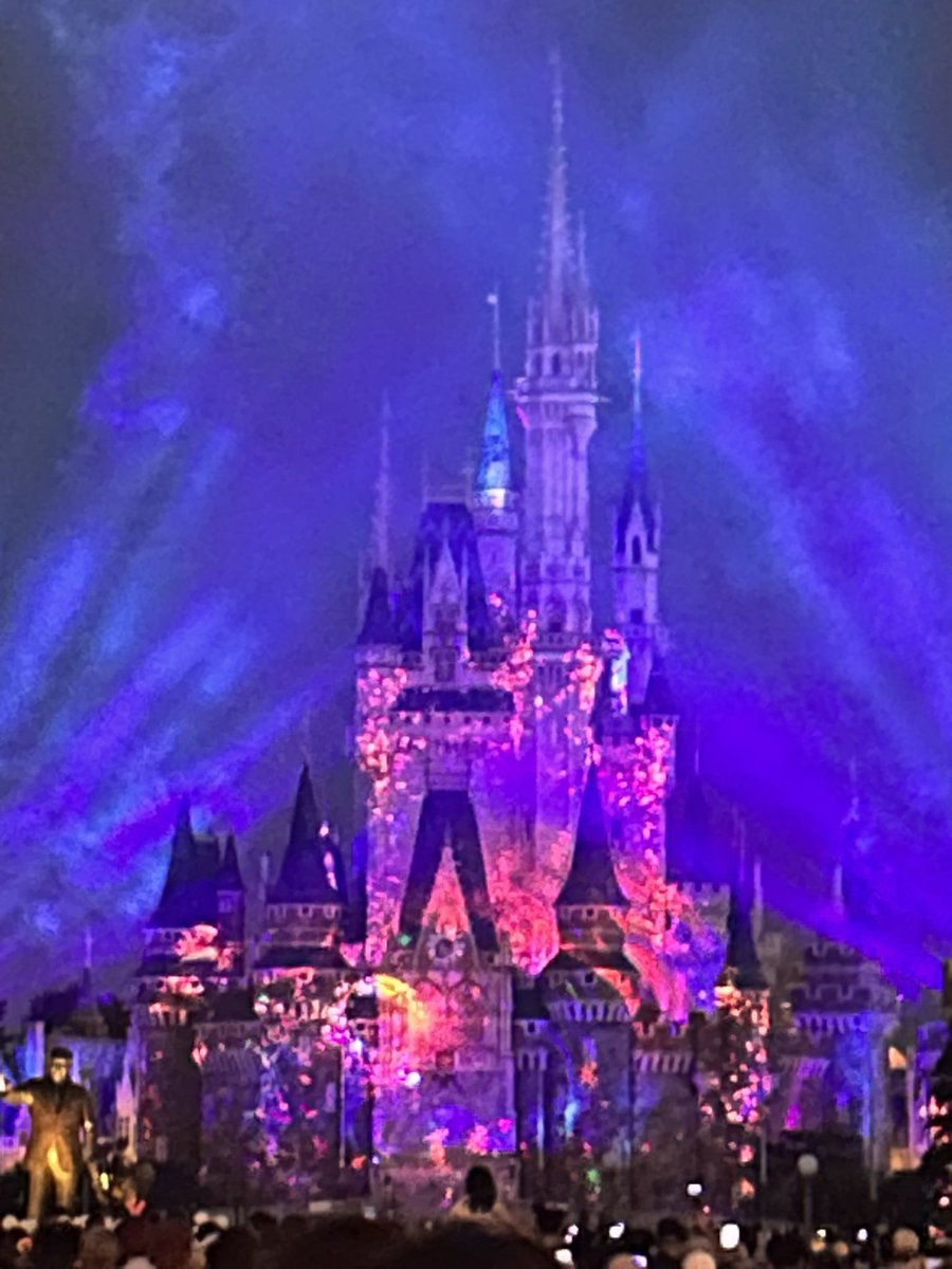 kitachan____'s tweet photo. 8年ぶりにディズニーランド行ってきた‼️

久しぶりに行けてめっちゃ最高だった😭

美���と野獣と演出とかシンデレラ城のプロジェクションマッピング迫力凄かった😭✨ https://t.co/U6ysfhryyC