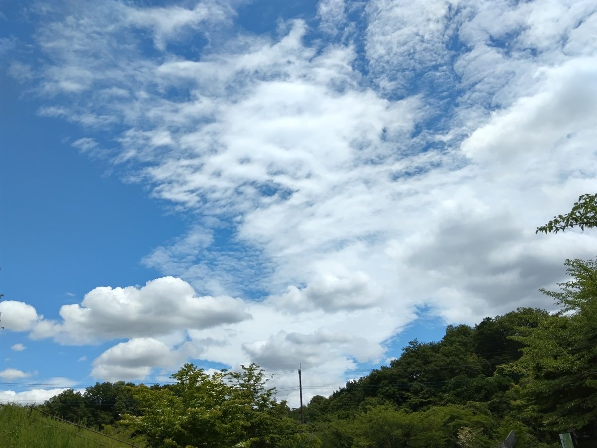 miituba87's tweet photo. 2026年7月1日☁️29℃
🌊
想い出はサラサラと
太平洋沖まで流れ
と共に想い出は
流れ消えてく
もう追うことも
ないでしょう

チューバは
マイペースね
仲良くしようね

#チューバ自由詩鶴子
#チューバ懐かしい https://t.co/3NyDVlwNQC