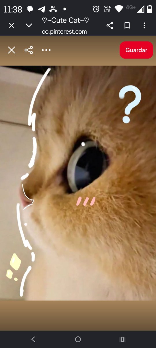 FOLI100's tweet photo. Sin googlear y sin usar IA
Cuál es el cazador más cazado y el asesino más asesinado? 😏😁
#FoliQuestions💙 https://t.co/SG4F0KG3ER