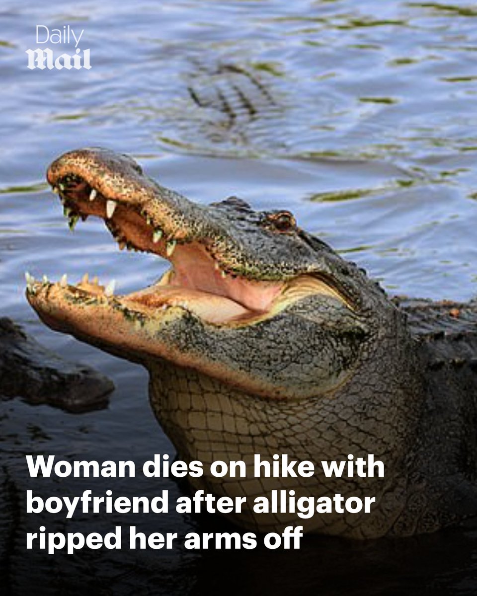 Daily Mail tweet media