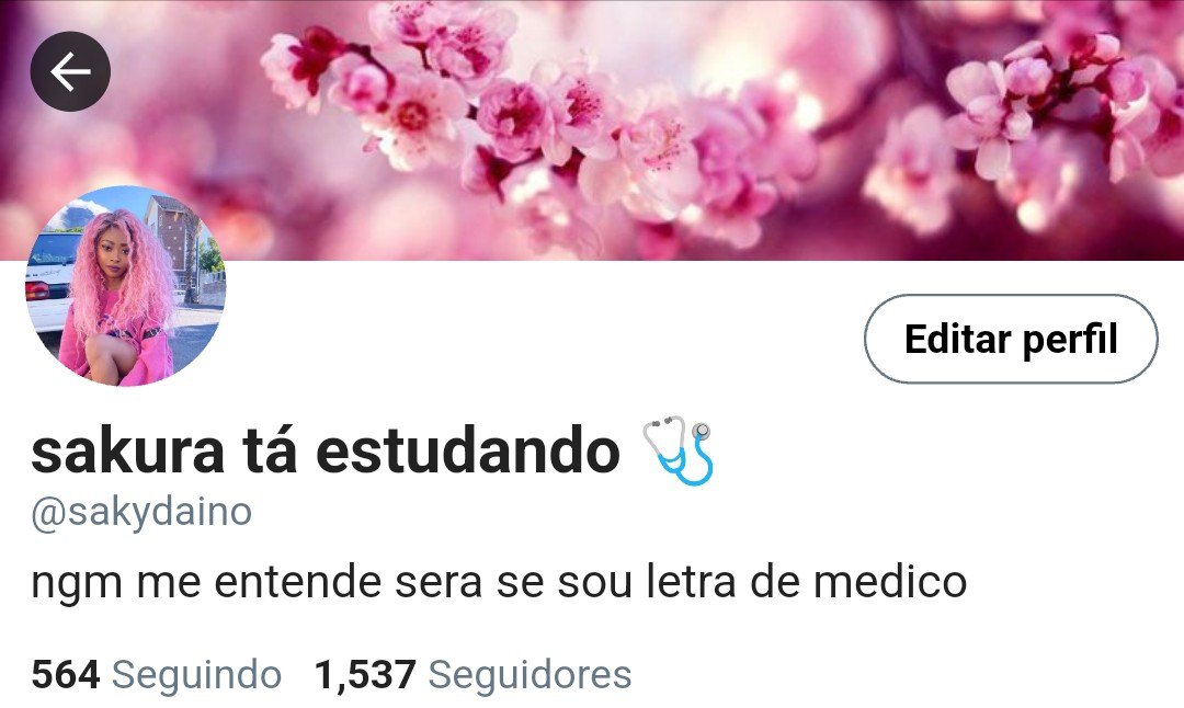 nathystew's tweet photo. ➺ Sakura 

Perfil | Twitter https://t.co/90NTIVQ4M9
