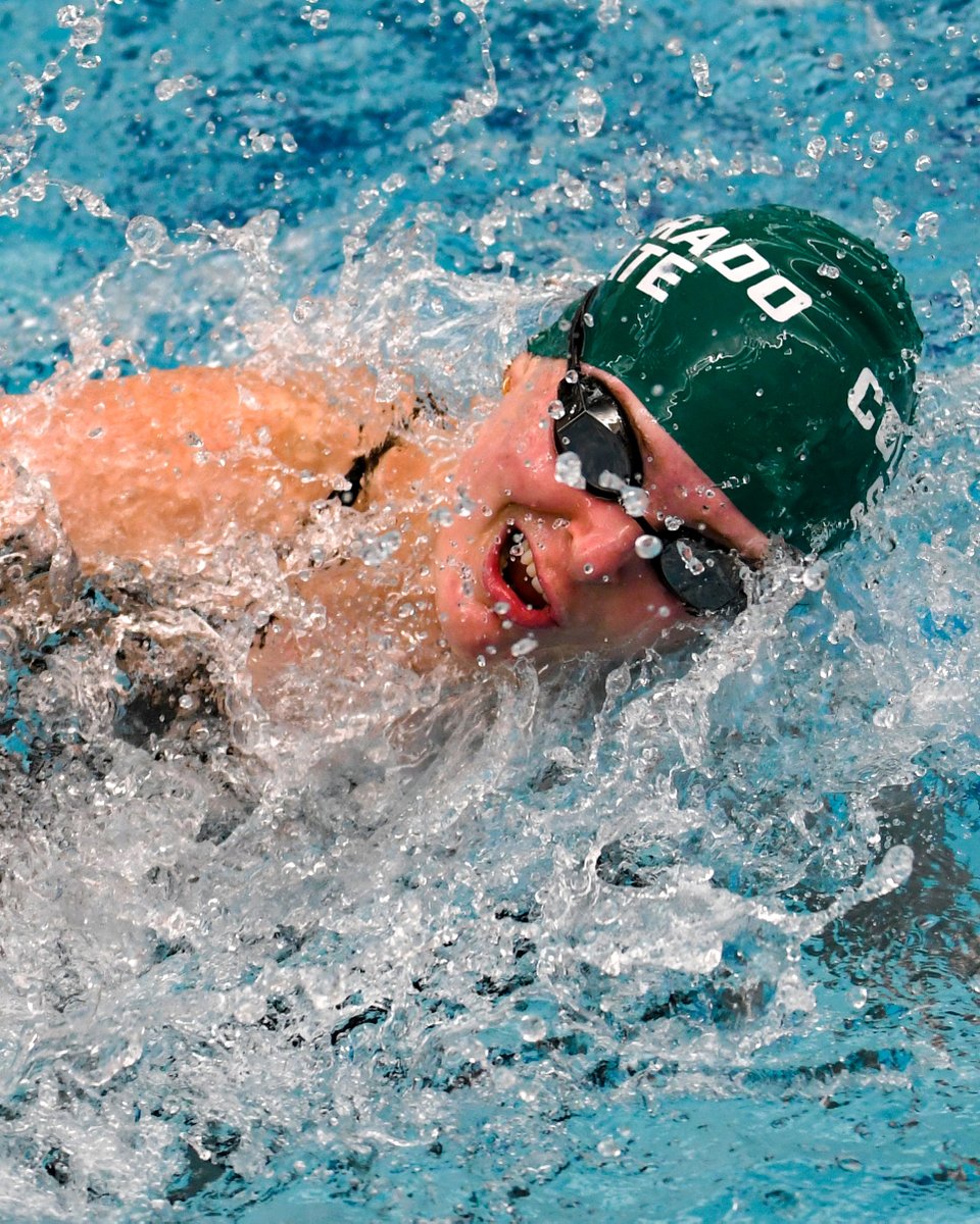 CSUSwimDive's tweet photo. 𝐓𝐨𝐩 𝟏𝟎
Margo Hauser
10. 200 breast 2:17.04 https://t.co/tWYkeCYwRX