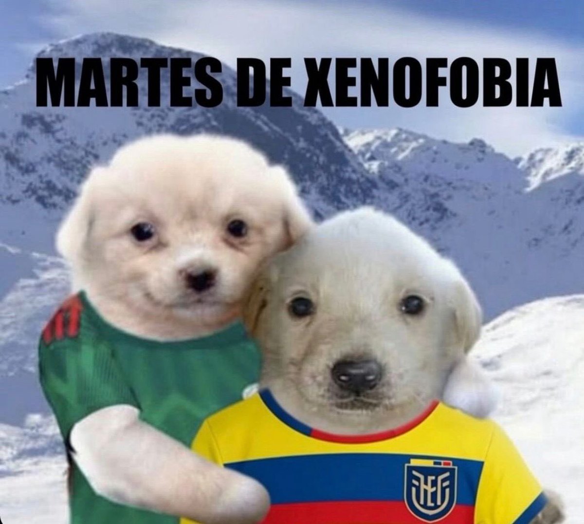 EsDeMamador's tweet photo. Comenzamos 🫡

#EsdeSports https://t.co/HsQ1VTatXF