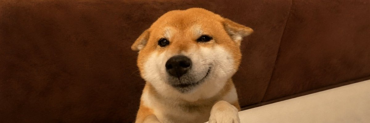 turqq0's tweet photo. No one is doing this correctly so I have to

This is true, but also redeployed stop

If we're going to return to a non-gay meta we should send a NEW animal

Not redeployed slop thats been deployed 10+ times, and has already went literally millions (yes, millions)

I've created a REAL community for Garrick

join up

https://t.co/p00xe602FC

https://t.co/5LLrYhsGmP