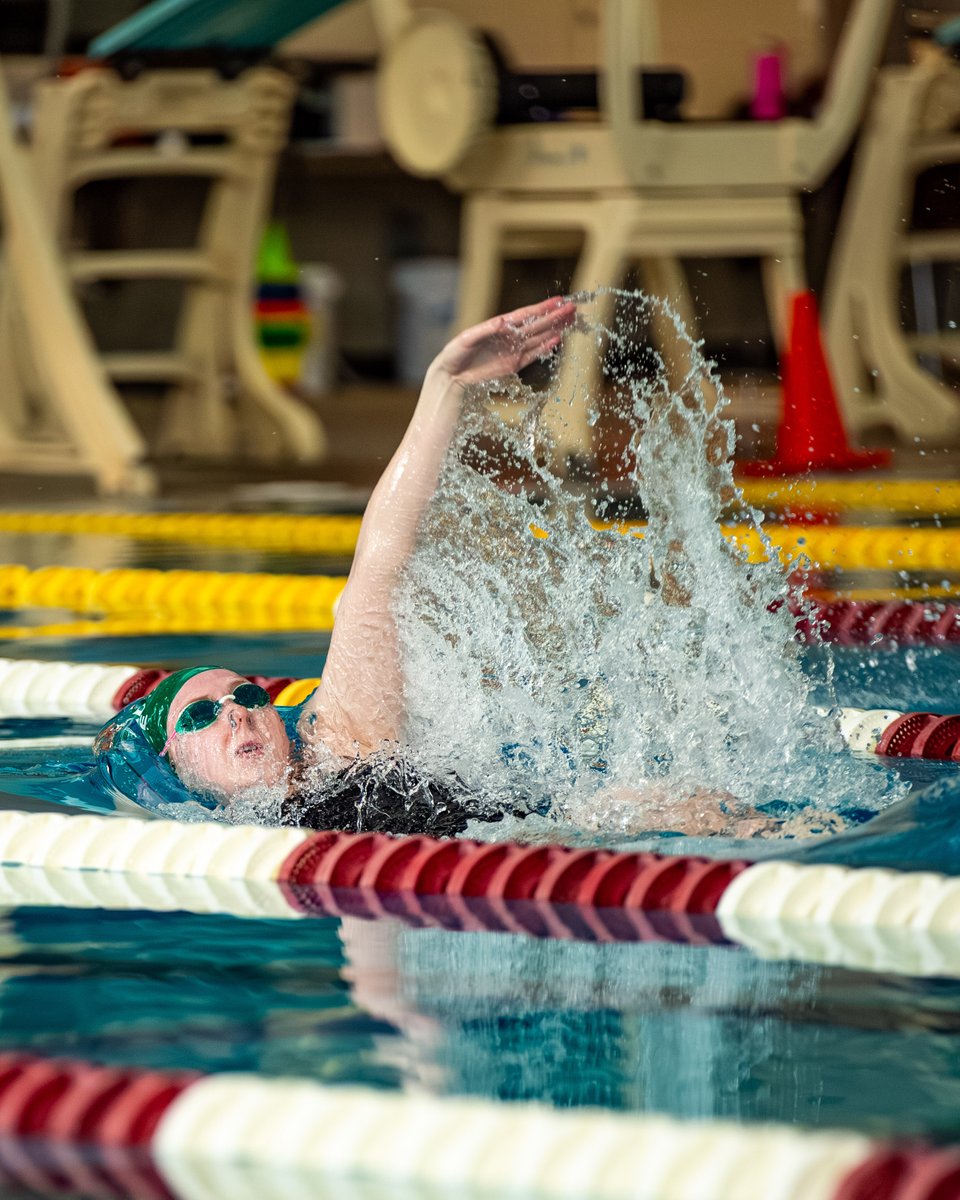 CSUSwimDive's tweet photo. 𝙁𝙖𝙨𝙩, 𝙁𝙖𝙨𝙩𝙚𝙧, 𝙁𝙖𝙨𝙩𝙚𝙨𝙩 https://t.co/1gMgg23TAy