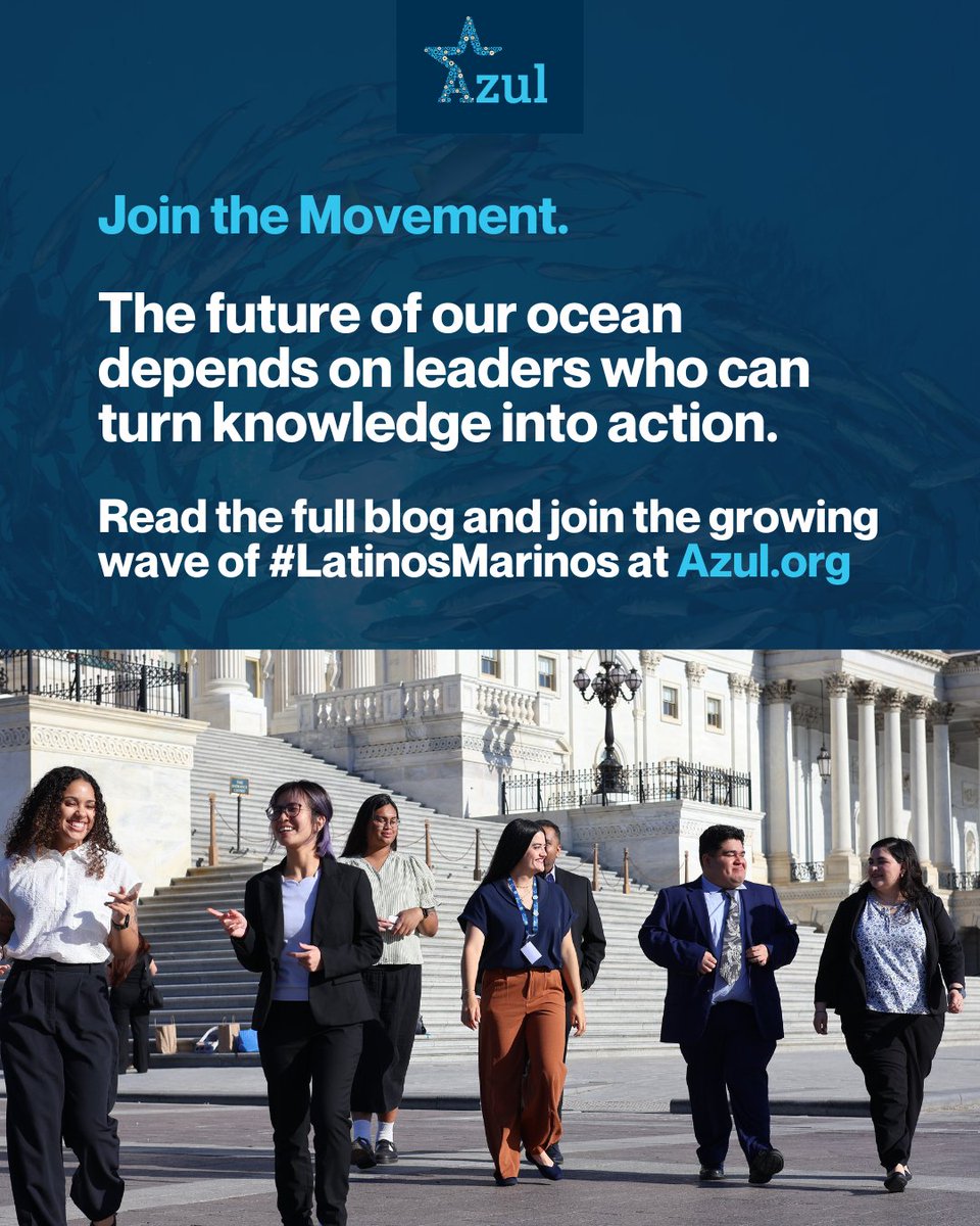 AzulDotOrg's tweet photo. The future of ocean justice requires bold ideas, collaborative problem-solving, and leaders ready to turn knowledge into action.

This year’s Action Lab proved these leaders are already here. 🌊🩵 

🔗 https://t.co/2vwD6oAMU9 https://t.co/Gp1STlOHma