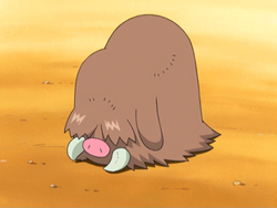 OoCPokemon's tweet photo. https://t.co/MF7r7ZTPQb