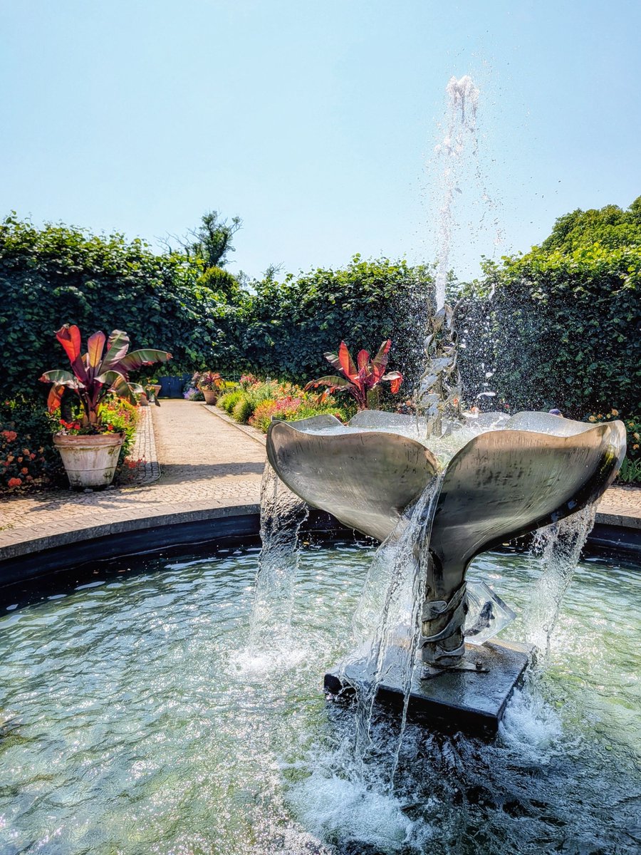 pocketireland's tweet photo. Silver Petal Splash
https://t.co/mDsODVG3qM
#photography #EastCoastKin #TeamPixel #GardenPhotography #SummerInIreland #WalledGardens #FountainArt #WaterFeatures #IrishGardens #BangorWalks https://t.co/xDNdr8XYH3