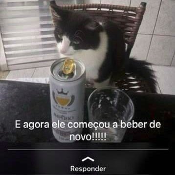 amorapieh's tweet photo. so um aviso que devo fazer umas 2 lives no máximo essa semana e semana que vem volto a fazer mais direitinho pois estarei livre da faculdade :3 https://t.co/QQmmFFP3Lt