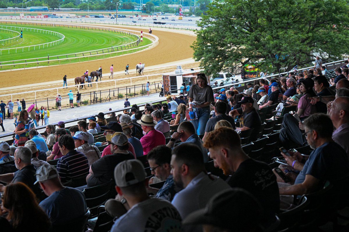 Equibase tweet picture