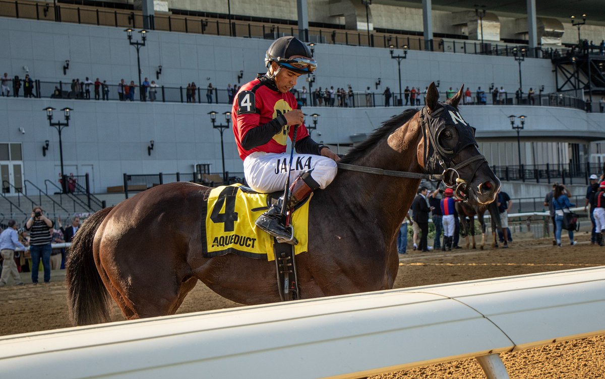 Equibase tweet picture