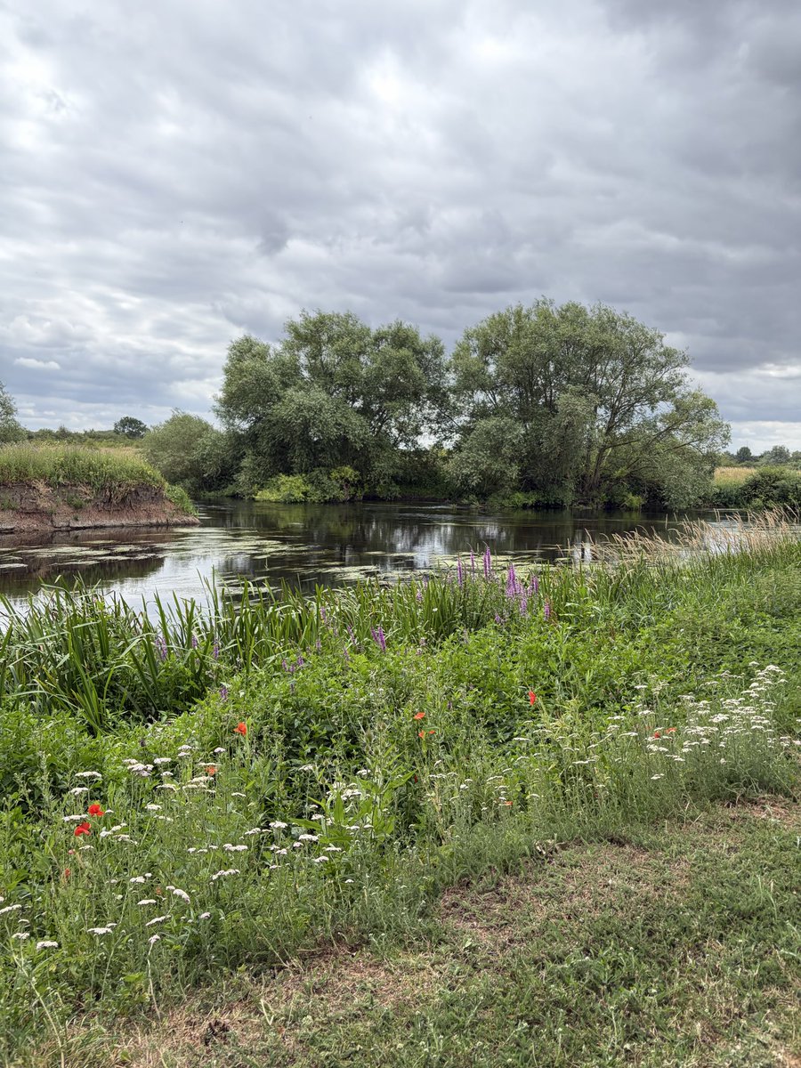 franklin_sally's tweet photo. Lovely cool day & birdsong! #TreeClub #NMA https://t.co/MUgfiFFLpG