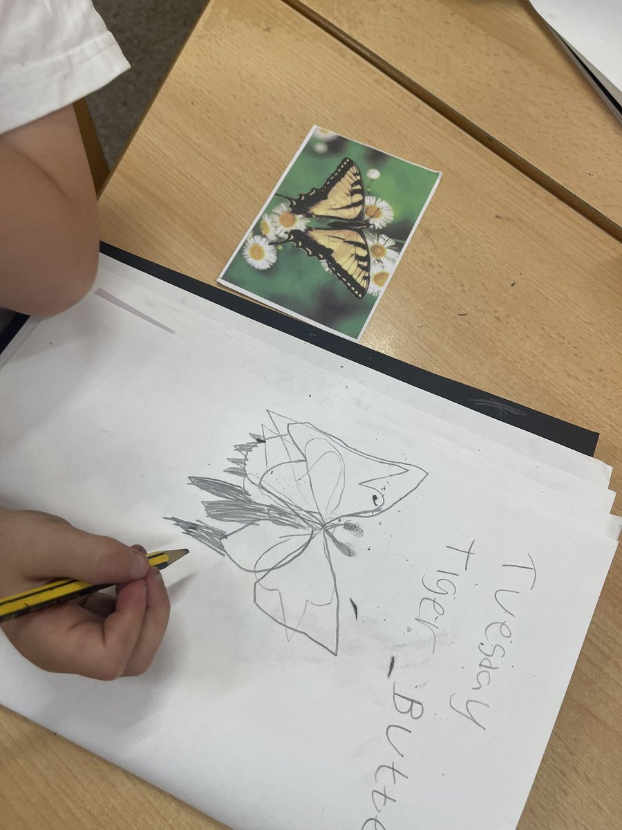 _AshOlol's tweet photo. Today our wonderful artists have been drawing beautiful butterflies. @ololprimary_HT #MakeADfference #ArtOlol https://t.co/9IDdbTMSke