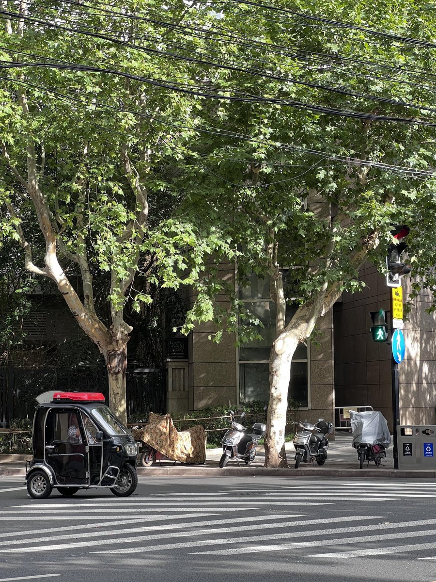 SandraStempel's tweet photo. [Weekend workshop alert! Our photography club is hosting a quick street shooting practice this Sat. Meet at the city square at 2 PM—bring your cameras, let’s capture the autumn vibes together!] https://t.co/aROzbOVZEi