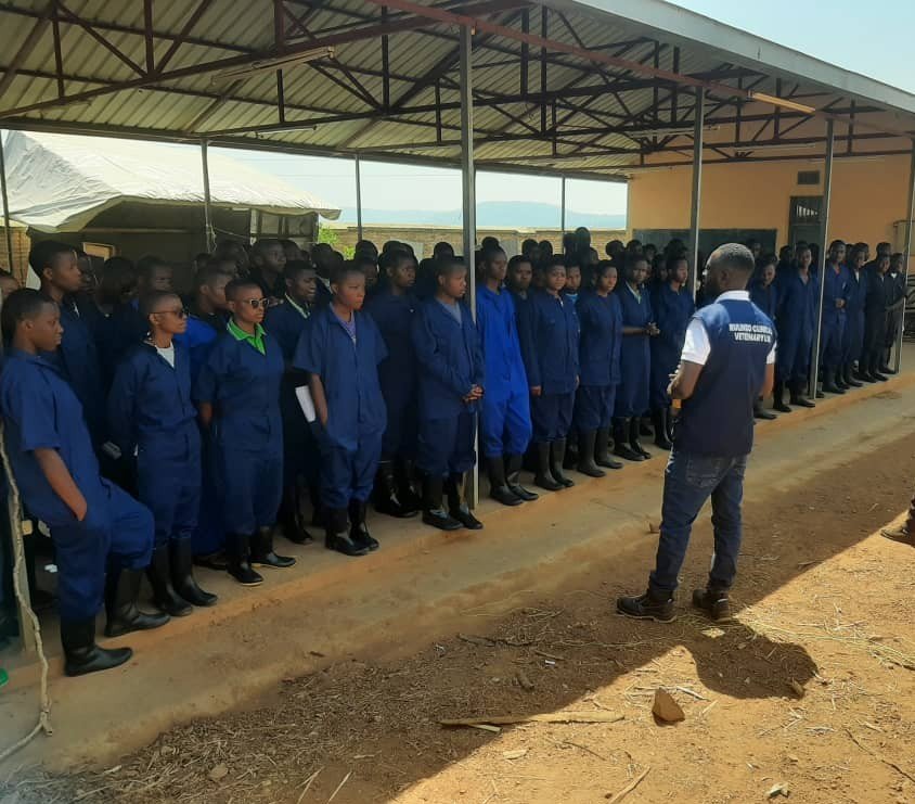 VeterinaryLtd's tweet photo. RUCLIVET ltd yasuye @Kisarotss muri @rulindodistrict twaganirije Abanyeshuri kuri #VSM,@OneHealth,Kwirinda no Gukumira RVF aho bagiye mu biruhuko,Tuganira n'ubuyobozi, imikoranire nk'ikigo kigisha Animal health @RwandaAgriBoard  @RwandaHealth . https://t.co/ErR7vzKHgD