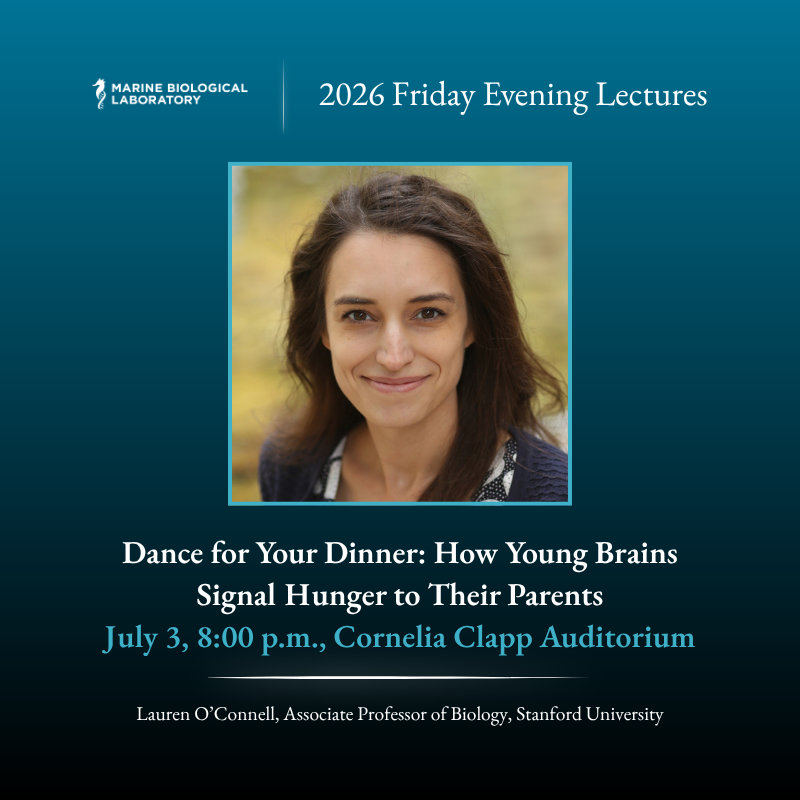 MBLScience's tweet photo. Join us on July 3 to hear Lauren O’Connell discuss how young brains create social behavior and methods of communication to meet needs such as hunger. 

Free and open to the public for in-person and virtual attendance.

🔗 More info here: https://t.co/MhyeodEs4M https://t.co/SwyAI81auo