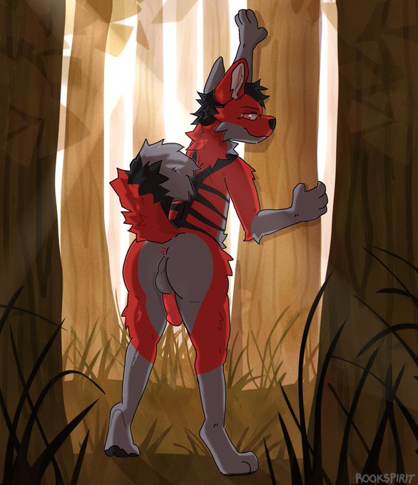 Corbin @ FD - What do you do if you find a fox in the woods?~ https://t.co/ImWus1cEjp