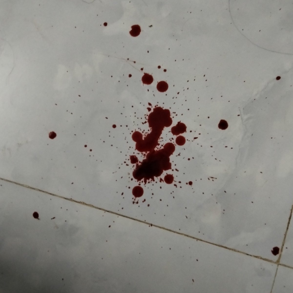 Shunn1512's tweet photo. chịu #shtwt #selfharm #vent https://t.co/jmpfIRBFZh