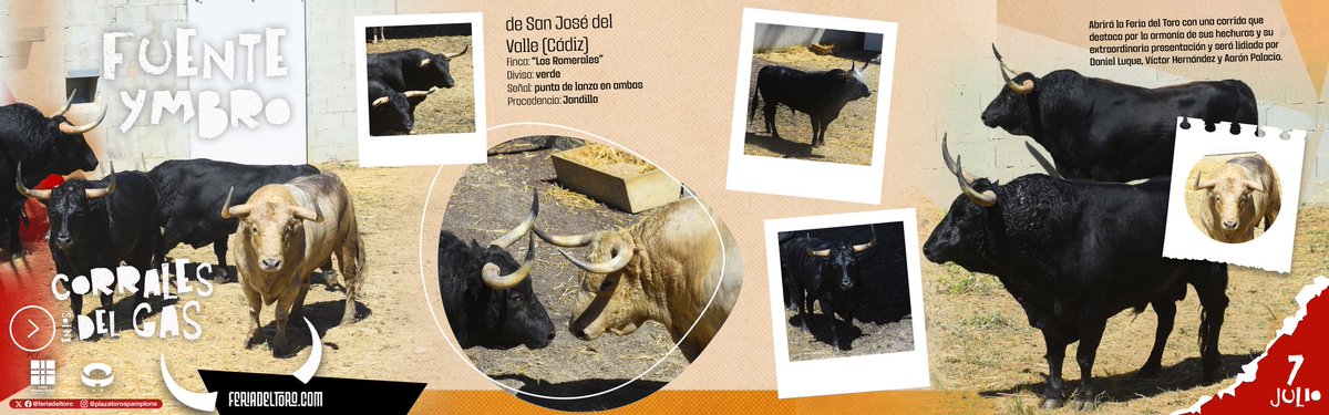 DBGurillo87's tweet photo. @Un_taurino_mas @feriadeltoro https://t.co/6q1WnLnXiS