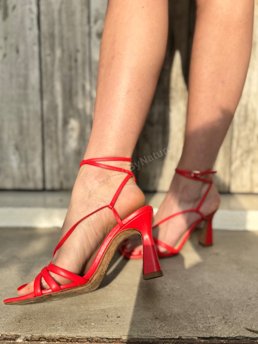 ArchedbyNature's tweet photo. high arches in stilettos 🖤 new album just dropped on my FeetFinder — every angle, nothing held back. link in bio
#feetfinder #higharch #heels #stiletto #archfeet #footfetish https://t.co/Yivft64xPx