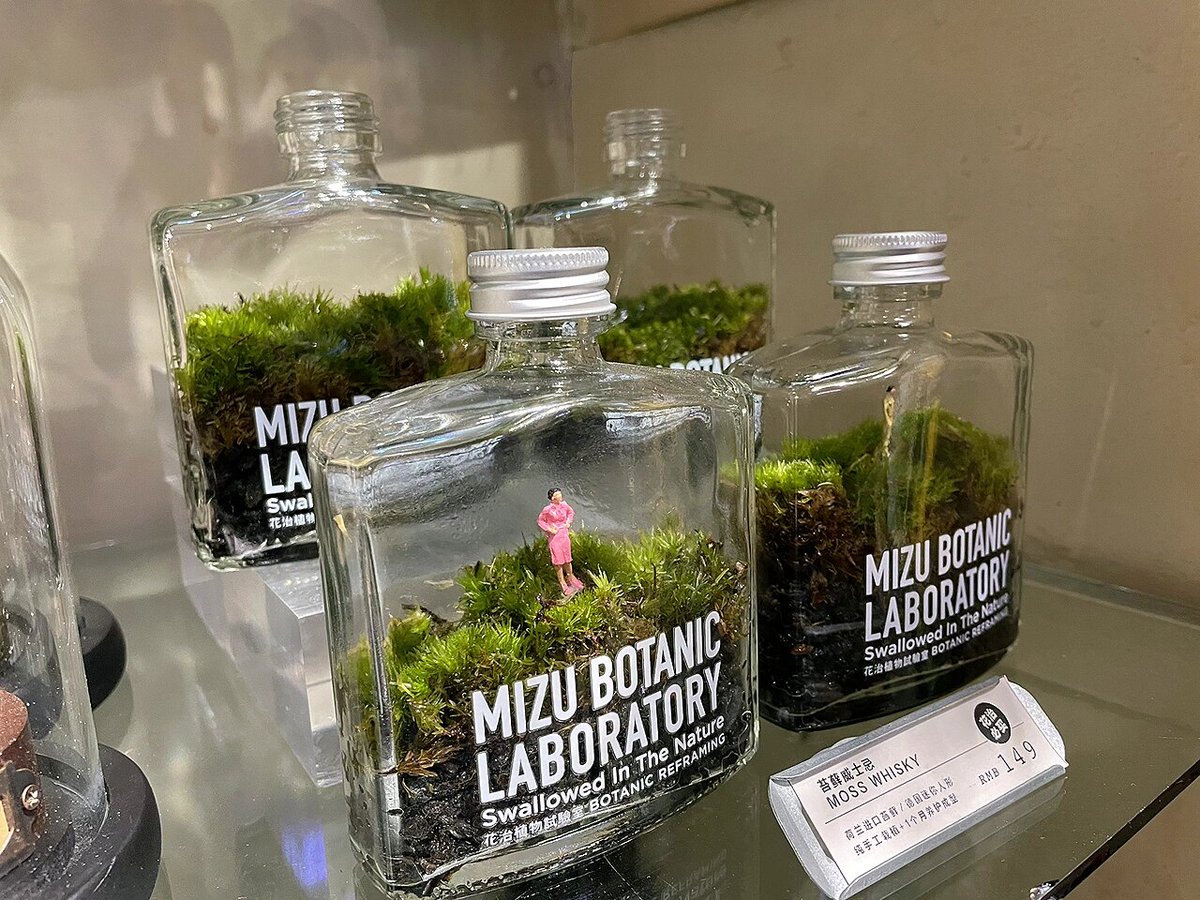 MirabelleW91155's tweet photo. Turned an old mason jar into a cute plant pot—no waste, just creativity! https://t.co/FWLkKO0cwx