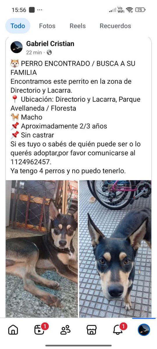 patripeyrou's tweet photo. Difundimos https://t.co/1xT0rQO3P2