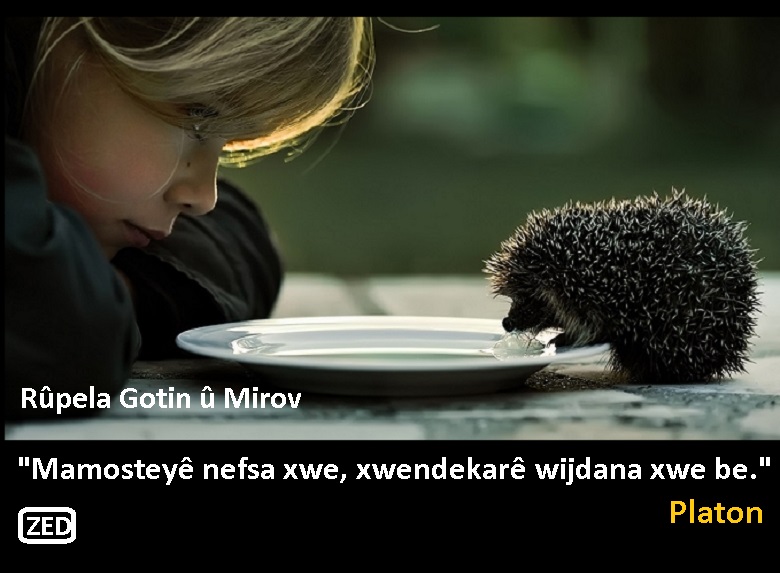 AroZargo's tweet photo. "Mamosteyê nefsa xwe, xwendekarê/a wijdana xwe be."

*Platon https://t.co/5v9oA98riD