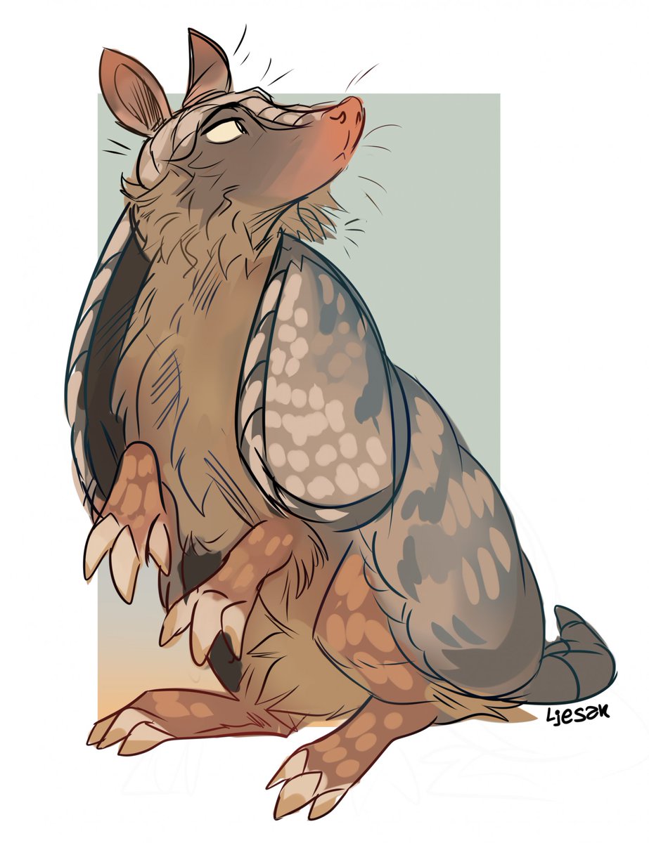 ljesak's tweet photo. armadillo! https://t.co/P1gSb1N6j8