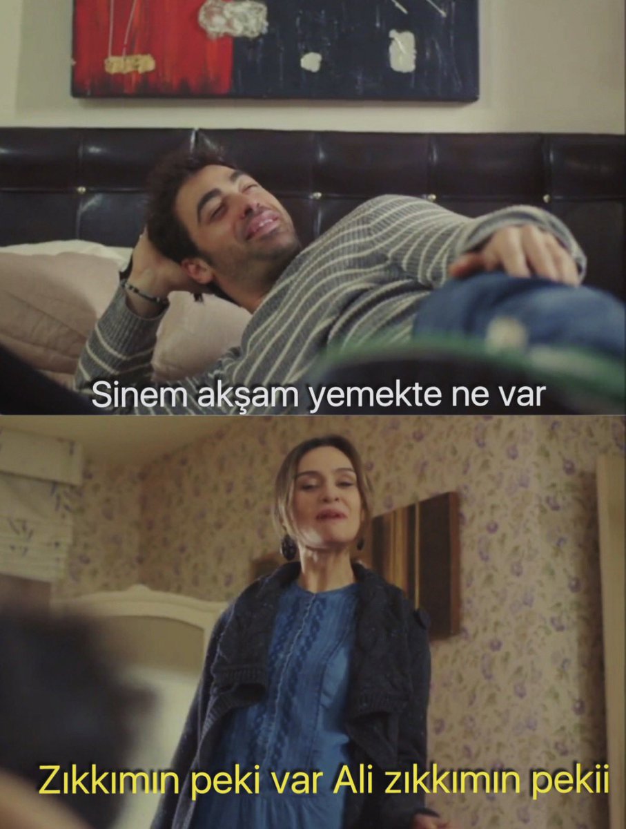 zikkimSote's tweet photo. Akşam eşin eve geldiğinde ve “Yemekte ne var?” diye sorduğunda… 💀#KüçükAğa
#BirceAkalay
#SarpLevendoğlu https://t.co/yPbAjTT2r6