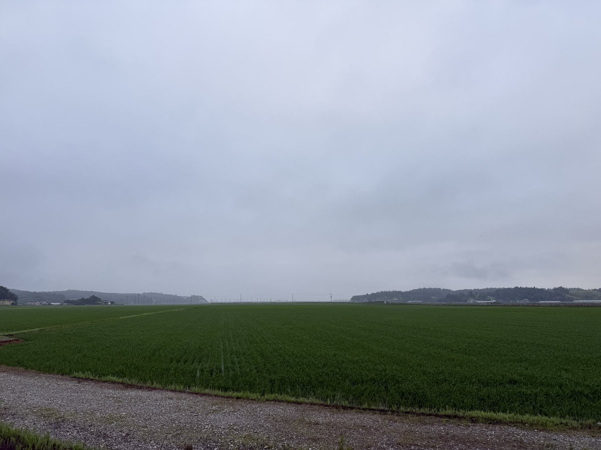 aragas38's tweet photo. おはようございます！相馬市の定点撮影ですよ(^^ゞ
今朝も曇って、靄っています。今日も朝から蒸し暑い〜！熱中症にはお気を付けください。アガパンサス見てほっこりしてからお仕事行って来ます。#空ネット https://t.co/BCX61Ep1c7