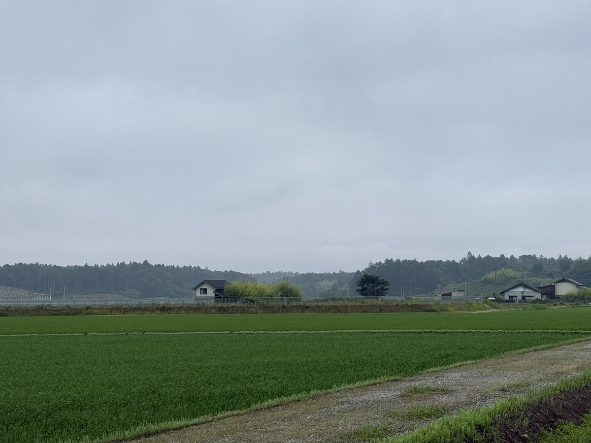 aragas38's tweet photo. おはようございます！相馬市の定点撮影ですよ(^^ゞ
今朝も曇って、靄っています。今日も朝から蒸し暑い〜！熱中症にはお気を付けください。アガパンサス見てほっこりしてからお仕事行って来ます。#空ネット https://t.co/BCX61Ep1c7