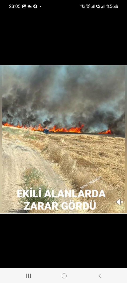hediyeantalya's tweet photo. Ormanlarımızdan sonra EKİN TARLALARIMIZ da yanıyor.
ABD'de bu yangınlar olmuş, kasıtlı yakıldı diye çok haber çıkmıştı. Aynı tür yangınlar bizde oluyor. Amaç buğdayları yoketmek, halkı açlığa mahkum etmek. LÜTFEN UYANALIM, ORMANLARIMIZA, EKİN TARLALARIMIZA SAHİP ÇIKALIM. https://t.co/dum0l7Vw9S